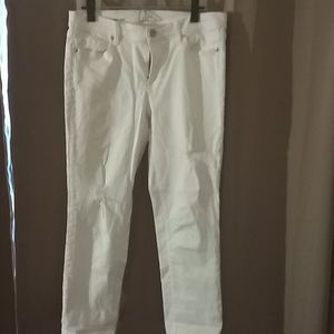 Modern crop jean
